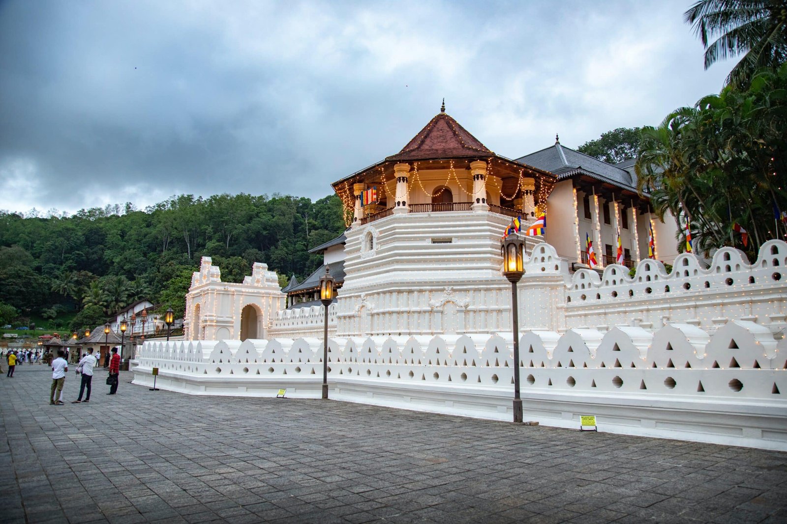 Ceylon Tours – airline & tickets in Sri Lanka – photo 2